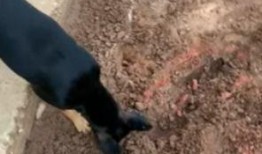 厂妹爆料被打屁股视频,不堪忍受暴力对待，被打屁股视频引发热议