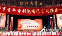 山西忻州爆料新闻事件视频,真相揭开，引人深思