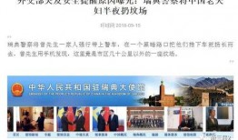 环球华人爆料事件视频播放,揭秘事件背后真相