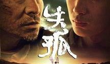 二本道电影在线观看,在线观看的激情之旅