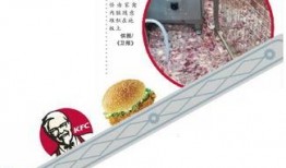 肯德鸡爆料新闻