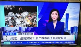 白夜爆料刘玉洁视频播放,真相究竟如何？
