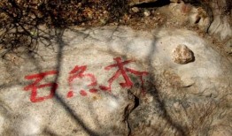 木鱼石电视剧在线观看,穿越时空的传奇爱情