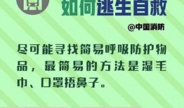 地铁逃生新内容爆料视频,视频爆料带你掌握关键求生技巧