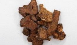 白术背景故事爆料最新,从神秘仙草到传奇医师的蜕变之路