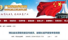 广西爆料新闻电话查询,揭露社会热点，守护公平正义