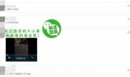 网络爆料视频在线观看,在线观看背后的真相与争议