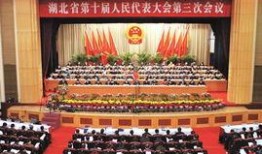 湖北记者爆料最新消息,重大事件引发社会关注