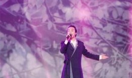 李玉刚爆料秘密视频播放,神秘视频背后的惊人真相