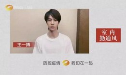 网红大事件爆料王霖视频,王霖视频背后的惊人真相