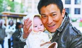 郑裕玲爆料刘德华视频,一场娱乐圈的惊人爆料