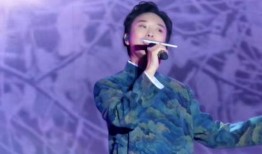 李玉刚爆料秘密视频播放,神秘视频背后的惊人真相