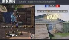大爆料视频,惊人内幕一网打尽