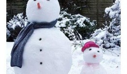 在线观看《雪人》,探寻神秘雪域的奇幻之旅