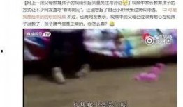 濮阳爆料家长案件视频,真相与反思