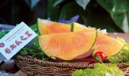 河南新瓜爆料是真的吗视频,视频真相揭秘