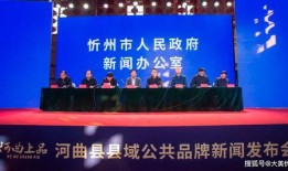 山西忻州爆料新闻事件视频,真相揭开，引人深思