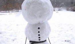 在线观看《雪人》,探寻神秘雪域的奇幻之旅