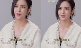 明星最扯的爆料视频是什么,最扯爆料视频，明星隐私大曝光！