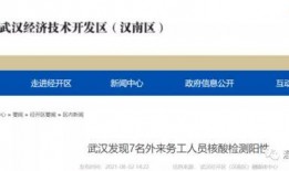 武汉核酸最新爆料信息,揭秘病毒检测背后的真相与挑战