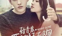 爆料圈内男明星小说女主,男明星与小说女主的浪漫邂逅