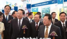 湖北记者爆料最新消息,重大事件引发社会关注