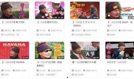 二爷最新爆料视频播放,幕后真相大曝光！
