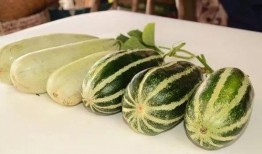 网红吃瓜ppt,揭秘网络热点背后的故事与真相