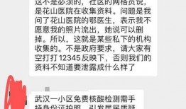武汉核酸最新爆料信息,揭秘病毒检测背后的真相与挑战