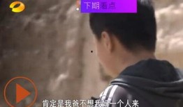 在线观看变形记,穿越时空的奇幻之旅