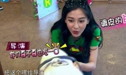 娱乐吃瓜酱笑声视频大全