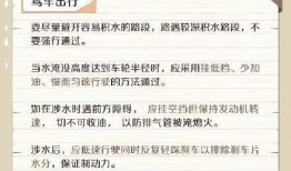 最新台风爆料视频下载大全,直击风暴现场，揭秘台风威力