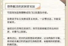 最新台风爆料视频下载大全,直击风暴现场，揭秘台风威力