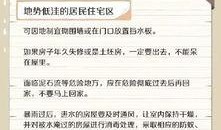 最新台风爆料视频下载大全,直击风暴现场，揭秘台风威力