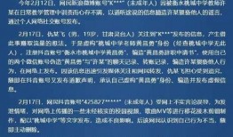 衡水桃城中学的爆料视频,揭秘校园真实情况