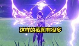 爆料原神雷神玩家视频,视频爆料背后的神秘力量