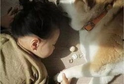 网红吃瓜狗萝莉,揭秘网络红人的幕后故事