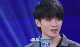 直播爆料良辰是真的吗视频,良辰真假之谜，视频揭秘真相