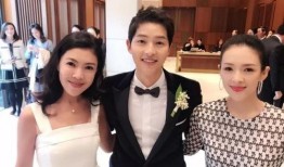 双宋结婚爆料视频大全,甜蜜瞬间大盘点