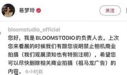 易梦玲图片爆料最新视频,揭秘幕后故事与精彩瞬间