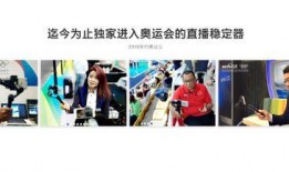 环球时代爆料视频大全集,揭秘世界热点事件背后的真相