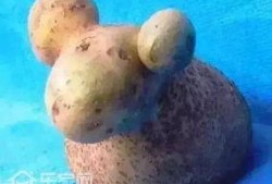 小羊798最新爆料,娱乐圈最新动态大曝光！