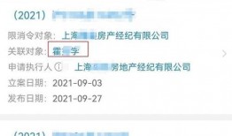 网络爆料视频在线观看,在线观看背后的真相与争议