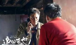 《追凶者也》在线观看,错综复杂的追凶之路，人性与正义的较量