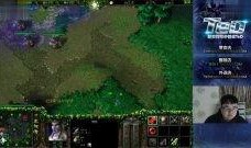 天梯 在线观看,攀登巅峰的挑战之旅