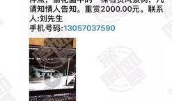 网络爆料视频在线观看,在线观看背后的真相与争议