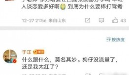 娱乐圈爆料白鹿张凌赫视频