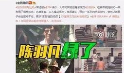 湛江出轨爆料案件最新,真相与争议交织的婚姻悬疑剧
