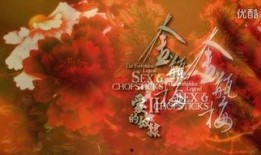 在线观看新瓶梅,网络时代下的经典再现