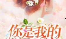 念念不忘全集在线观看,全集在线观看，重温经典情感之旅